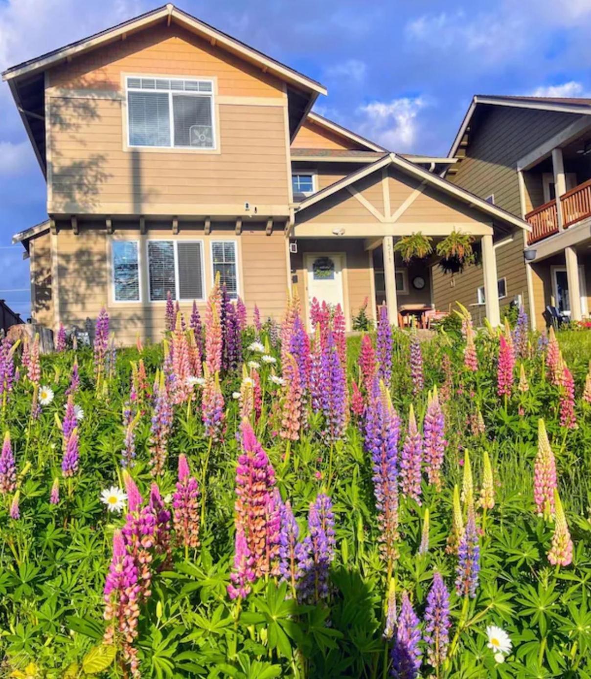 Central Tacoma Homestay With Breakfast Included -Private Room- Exterior photo